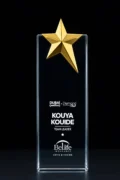 Metal Star  Crystal  Trophy