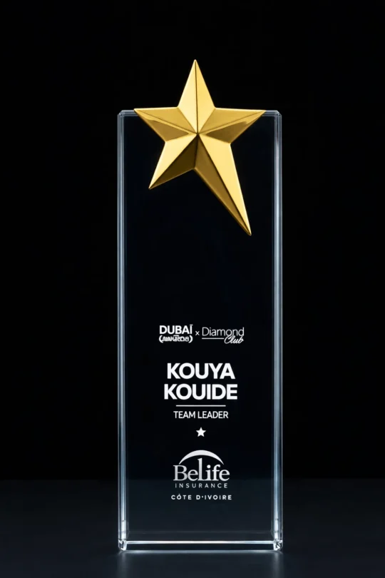 Metal Star  Crystal  Trophy