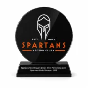 A modern 2D Award of Excellence Trophy