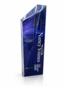 Blue Crystal Pinnacle Award