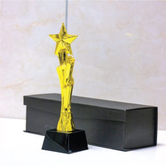 Metal Award Trophy