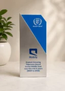 Customized Metal Trophy