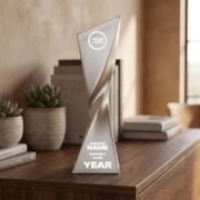 Twist Resin Award Silver