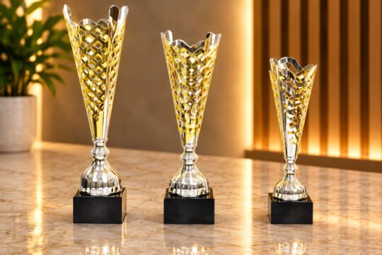 Premium Two Tone Mesh Trophy with Marble Base