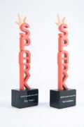 3d Printed Trophy 7