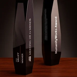 Obsidian Pinnacle Leadership Award