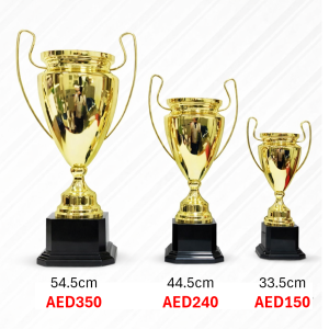 003B _Premium Sports Trophy with Black Base