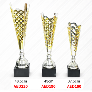 Premium Two Tone Mesh Trophy with Marble Base