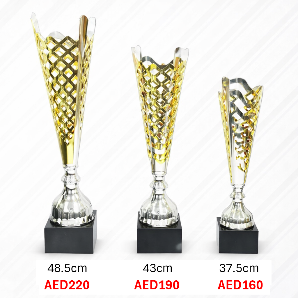 Premium Two Tone Mesh Trophy with Marble Base