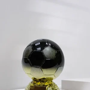 Football Trophy PA25262D – 20.5 cm Resin